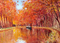 Reflets dor&eacute;s des arbres en automne